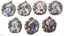 Sample Pet Ornaments